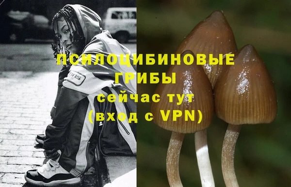 Альфа ПВП Вязники