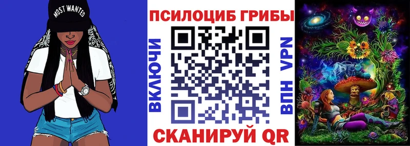 Псилоцибиновые грибы мицелий Севск